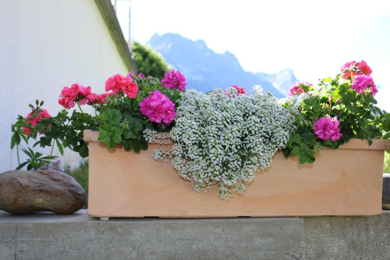 Apart Brigitta Sankt Leonhard im Pitztal Extérieur photo
